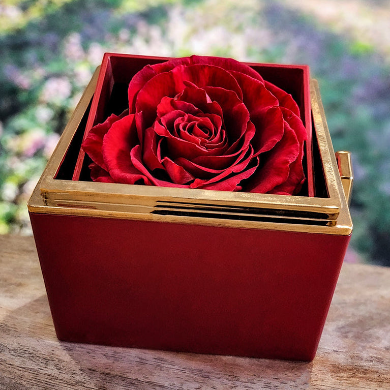 Eternal Love Knot Necklace with Preserved Rose Gift Box – Romantic Wife Necklace Gift