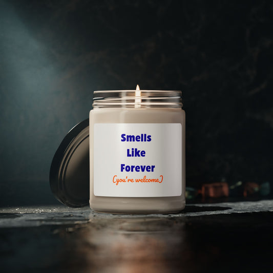 Lit natural soy wax candle in clear glass jar with "Smells Like Forever You're Welcome" blue and orange text label, black metal lid beside candle, moody dark teal background, 9oz scented candle, funny home decor gift