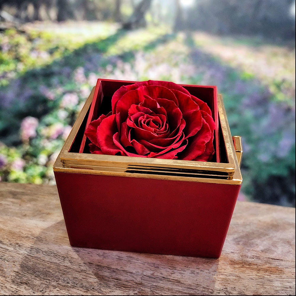 Love Knot Necklace for Mother-in-Law – Thank You for Raising the One I Love – Sentimental Gift with Preserved Rose Box